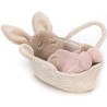 Peluche lapin dans son panier Rock-A-Bye - Jellycat