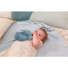 Peluche bouillotte chaud et froid Poisson petit - Kaloo 2