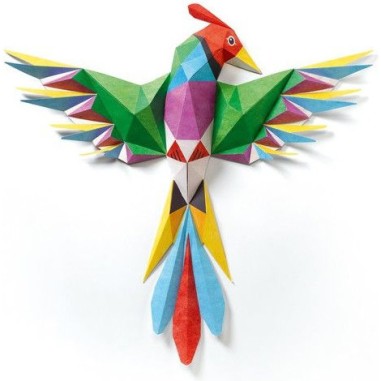 Papier Créatif - Amazonie - Djeco