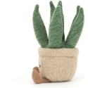 Peluche Aloe Vera - Amuseable - Jellycat