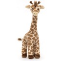 Peluche Dara Girafe - Giraffe - Jellycat