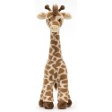 Peluche Dara Girafe - Giraffe - Jellycat