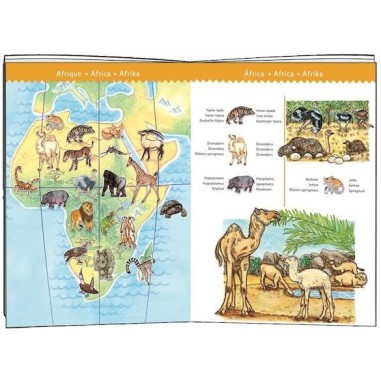 Puzzle Observation - Les animaux du monde - 100 pièces - Jeux classiques - Jeux de société - Djeco Puzzle Observation - Les animaux du monde - 100 pièces - Jeux classiques - Jeux de société - Djeco