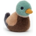 Peluche canard mallard oiseau - Jellycat