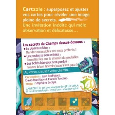 Cartzzle - Labyrinthe: Champs Dessus Dessous - Jeux Opla 2